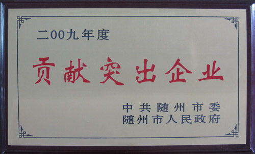 2009年度贡献突出企业