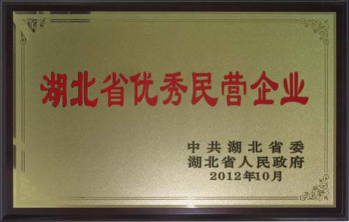 2012年度湖北省优秀民营企业