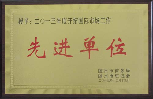 2013年度开拓国际市场工作先进单位