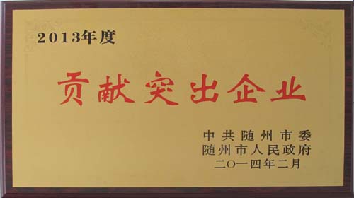 2013年度贡献突出企业