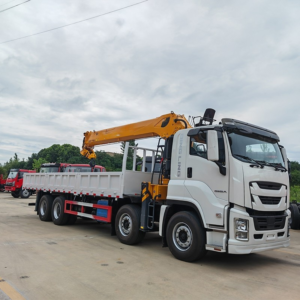 Factory Direct Sale 1suzu Giga 14 Ton Hydraulic Truck Mounted Crane Straight Boom Crane for Sale