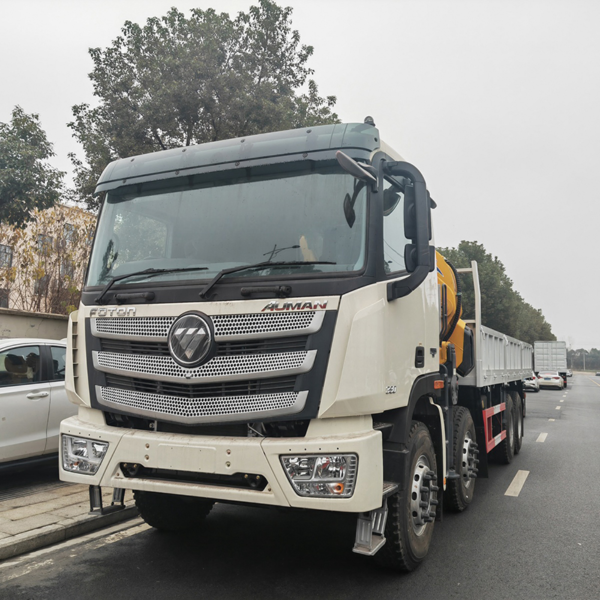 Foton Auman Rhd Cargo Truck Mounted 28ton Folding Boom Crane Hydraulic Mobile Crane Truck Price